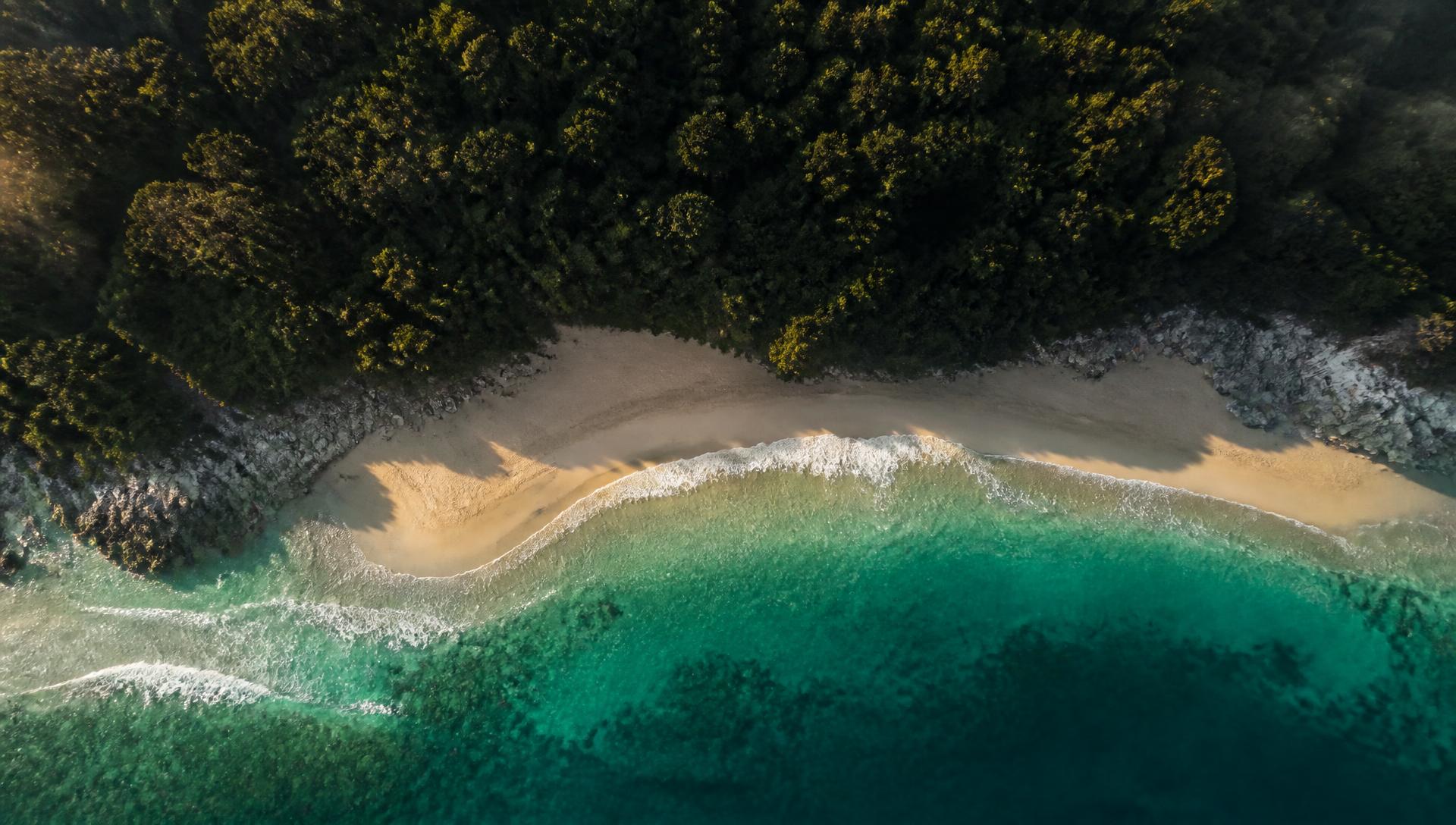 Aerial beach and forest background